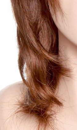 Główka treningowa Champion George 30 cm